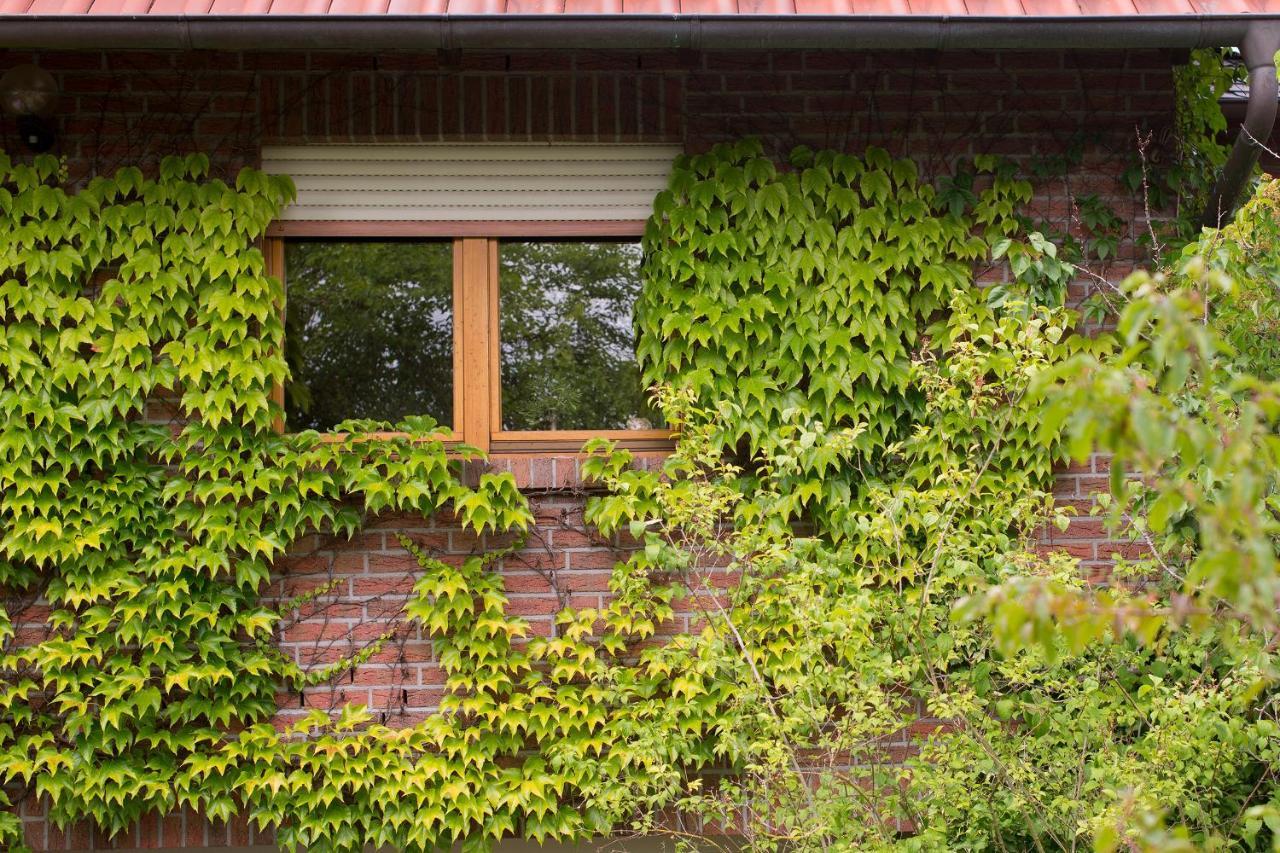 Ferienwohnung Meinersen エクステリア 写真